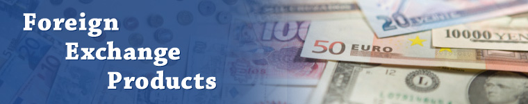 Foreign Exchange Products